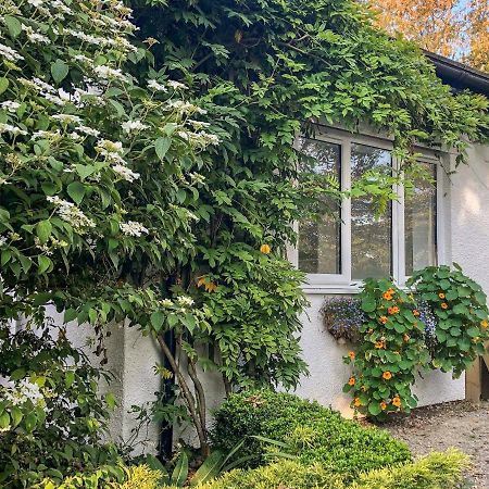 Primrose End Bude Exterior foto