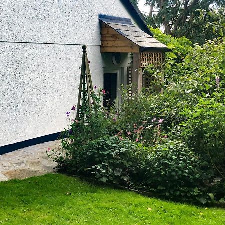Primrose End Bude Exterior foto