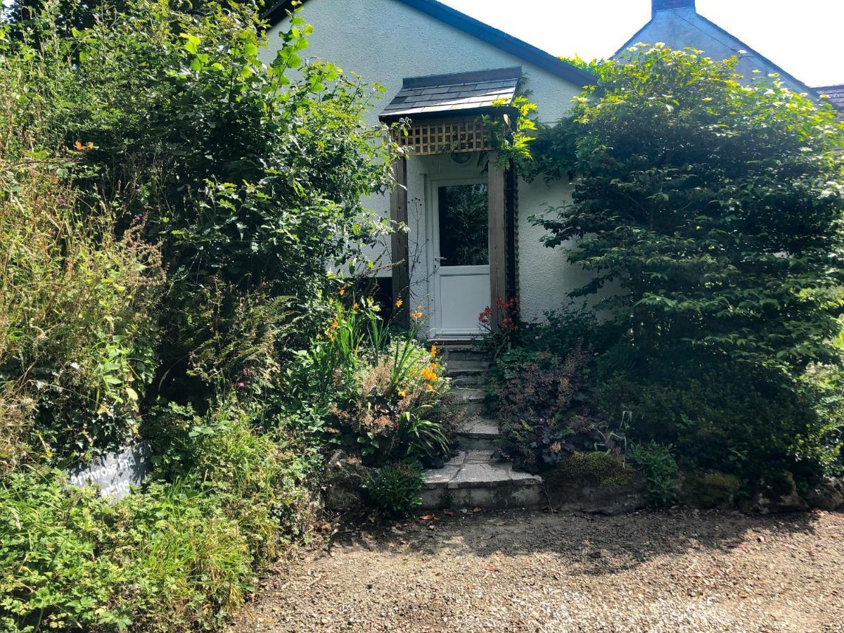 Primrose End Bude Exterior foto