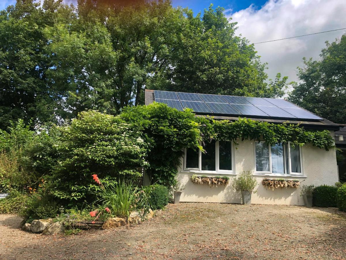 Primrose End Bude Exterior foto